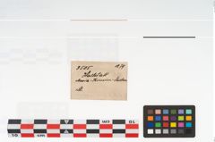 Etikett zu Holzgerät (NHMW-PRAE-003505)
